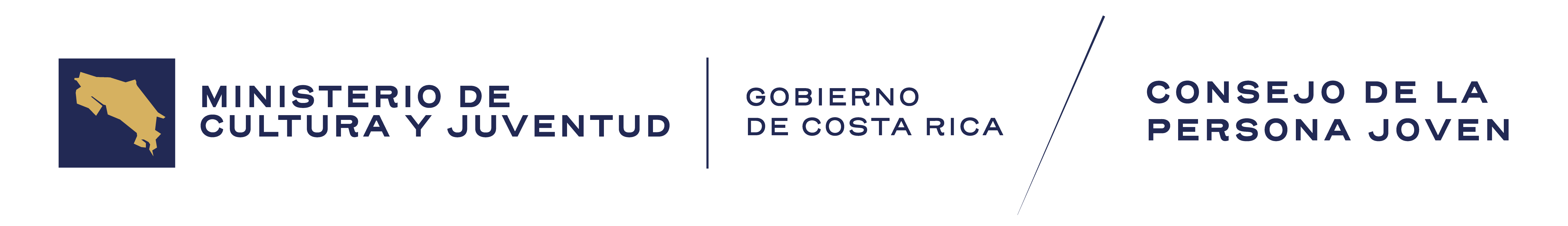 Consejo de la Persona Joven