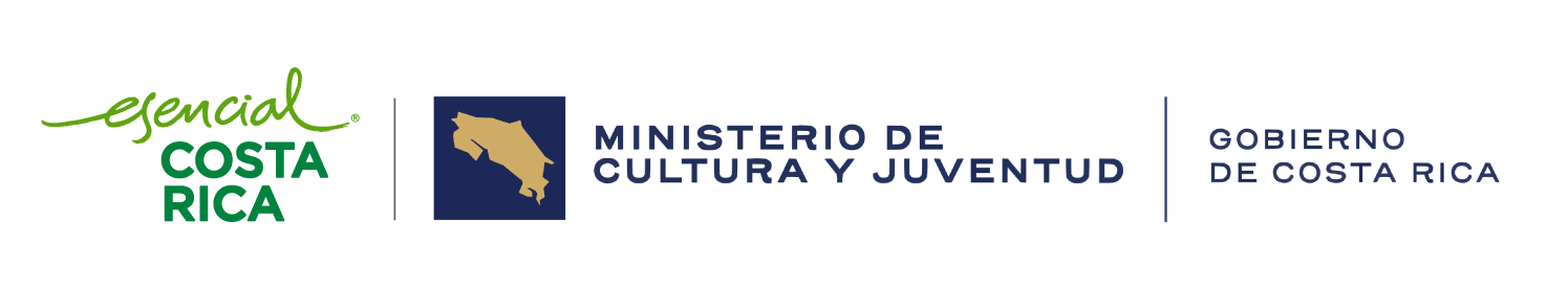 Consejo de la Persona Joven