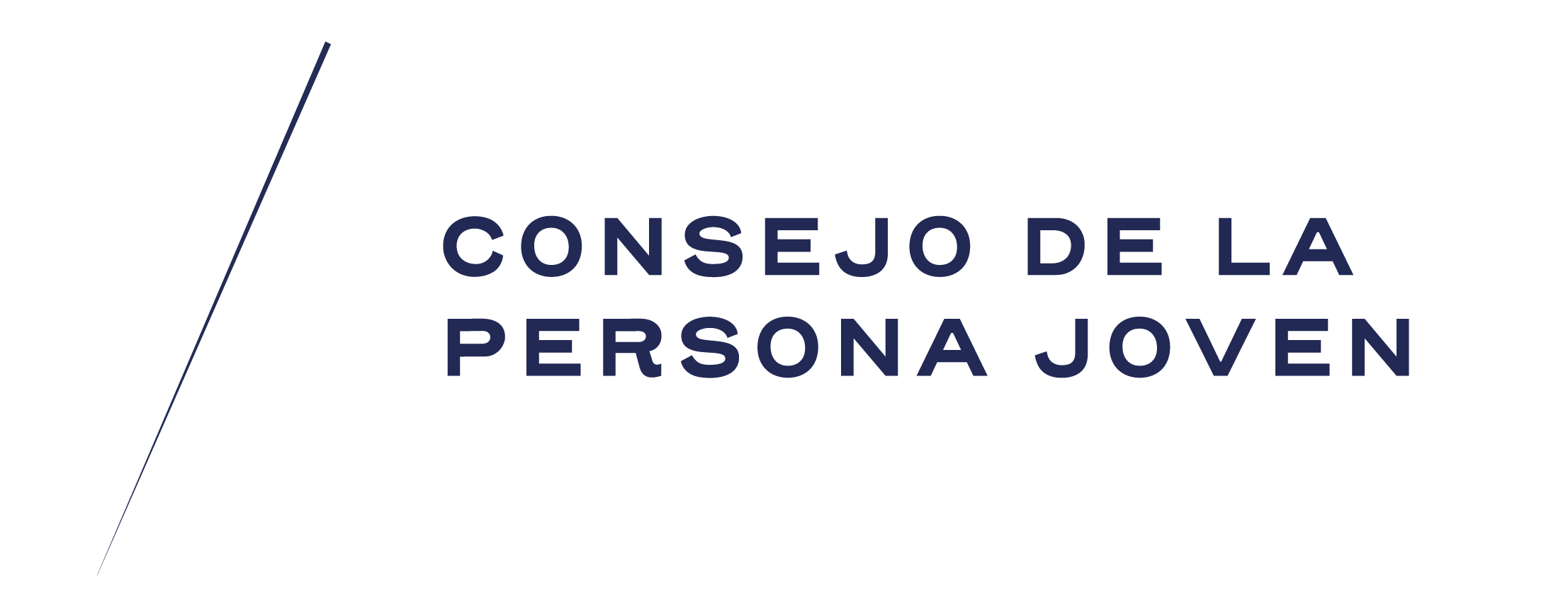 Consejo de la Persona Joven